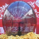 乌鲁木齐启动球租赁