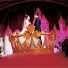 米廷会展介绍--四种舞台灯在婚礼中的运用